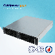  30kw 750V AC DC Charging Module for Electric Vehicle Charger