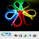  IP67 Pixel Magic Color LED Strip for Outdoor Lighting Landscape Decorative