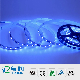  Good Quality LED Linear Light Flexible 5050 RGB SMD LED Strip Light with TUV CE Compliant