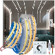  COB Running Water Flowing LED Strip Light Ws2811 Horse Race Sequential LED Ribbon with RF Touch Panel Controller DC24V Power