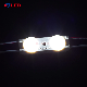  Energy Saving High-End 5 Years Warranty 2PCS High Brightness LED Sign Lighting Module