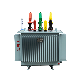 S11 Series Hot Selling Power Transformer with Dual-Winding