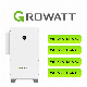  Growatt Wit 40ktl3-a XL Wit 40ktl3-a-Ep XL MPPT on Grid Commercial & Industrial PV Solar Power AC-Coupled Inverters Price