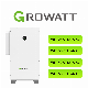 Growatt Wit 40ktl3-a XL Wit 40ktl3-a-Ep XL MPPT on Grid Commercial & Industrial PV Solar Power AC-Coupled Inverters Price