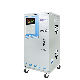 High Efficiency Servo Motor Control Model Pcsvc-3000va Single Phase Automatic Voltage Stabilizer with Factory Price