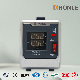  Honle Der Series Universal Automatic AC Voltage Regulator/Stabilizer