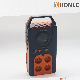  Pr Series AC Portable Voltage Stabilizer
