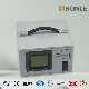 Honle 1000va SVC High Accuracy Full Automatic AC Voltage Stabilizer Regulator