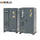  Dbw/SBW Automatic 15kVA Automatic Voltage Stabilizer