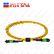  Single Mode MTP to MTP Fiber Cable 72 Core Trunk Patch Cord