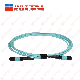 Om3 300 48 Core Type a Type B Type C MPO MTP Trunk Cable Patch Cord manufacturer
