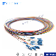 FTTH Single Mode 12 Core Distribution Sc/Upc Fan-out Bundle Fiber Optic Pigtail manufacturer