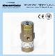  Fp-25-M Series Pneumatic Piston Vibrator