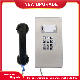 Rugged Jail VoIP Phone Vandal Resistant Visitation Inmate Prison Phone