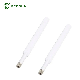  190mm Length Indoor Stick GSM Router Antenna with External SMA Male Connector