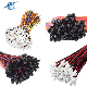  Factory Professional Cable Assembly Supplier High Quality OEM ODM Auto Molex Jst Connector Plug Automotive Custom Cable Electrical Wire Harness