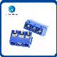  2p 3p 4p Screw 5.0mm Straight Pin PCB Blue Green Screw Terminal Block Connectors Splicing Type