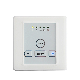 Glass Screen Ventilation Fan Speed and Lighting Control with Timer Smart Touch Switch