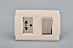 15A American Standard Wall Socket 1 Gang Switch and Socket manufacturer