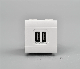 2.1A 5V Doppio USB Caricatore Italian Wall Power Socket manufacturer