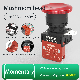  Industral Red Mushrooms Momentary 20A IP65 22mm Plastic Push Button Switch 660V for Machine