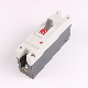 Single Polar 100AMP Distribution Enclosure Moulded Case Circuit Breaker MCCB manufacturer