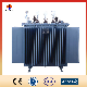  Customized 11kv Three Phase Oil Immersed Power Distribution Transformer