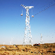 Huahui 220kv 2e5 Sdjc Double Circuit Angle and Terminal Transmission Tower