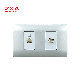 Ah2285. Mslv Ah Series Matte Silver Z&a Za Electric Wall Socket of TV and LAN