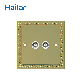  Hailar Polished Brass 2 Gang TV Socket Twin Oullet