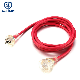 Australia Transparent 10A 250V Extension Cord Fitted with LED Light