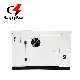 10kVA Canopy Silent Type Pure Sine Wave "Inverter" Electric Generator 3 Phase