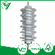 Outdoor Rated Voltage 12-36kv porcelain Polymer Lightning Protecting Arrester