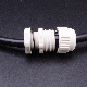  High Strength Factory Supply Cable Cap Cable Glands and Lugs