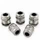 SS304 SS316 M10 to M100 Stainless Steel Cable Glands