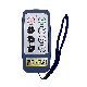  Saga1-L8 Single Speed 6 Channels Industrial Radio Remote Control for Mobile Crane