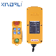 Xdl19-Xcd-4 Wireless Remote Motor Control Switch Wireless Remote Power Switch 230V manufacturer