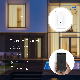 Hot Sale Free Samples Durable Remote Wireless Smart Light Power Switch