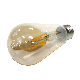  4W 6W Dimmable LED Filament Bulb St64 E27 Vintage Edison Bulb
