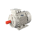 Y2 Iron-Cast Housing Industrial Ie1 Ie2 Ie3 2 HP Three Phase Electric Motor