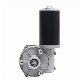 Low Speed New Design 24V DC Gear Motor with Hall Sensor