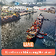  China FCL LCL Sea Freight Shipping Service to The United Arab Emirates