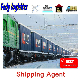  DDP Sea Shipping/Air Cargo Freight Forwarder to Czech Republic/Finland/Hungary/Sweden/Greece Fba Amazon Export Agents Logistics UPS/FedEx Express Rates