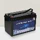 12V/100ah Low Self-Discharge AGM Replacement LiFePO4 Battery for UPS/Ess with BMS