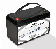  12V 100ah Lead-Acid Replacement LiFePO4 Battery for UPS with BMS