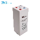 Long Life Storage Rechargeable Battery Opzv 2V 1000ah Batteries Tubular Opzv Battery for UPS