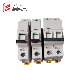  Manufacture for Low Voltage Circuit Breaker Sp Dp Tp (IC60N)