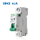 Mini Overload Protection Singi or OEM 1-4p Electric Circuit Breaker