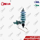  12kV Composite Polymer Silicone Lightning Surger Arrester