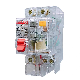  Delixi Dz47trle 1p+N 2p 3p Transparent Earth Leakage Circuit Breaker